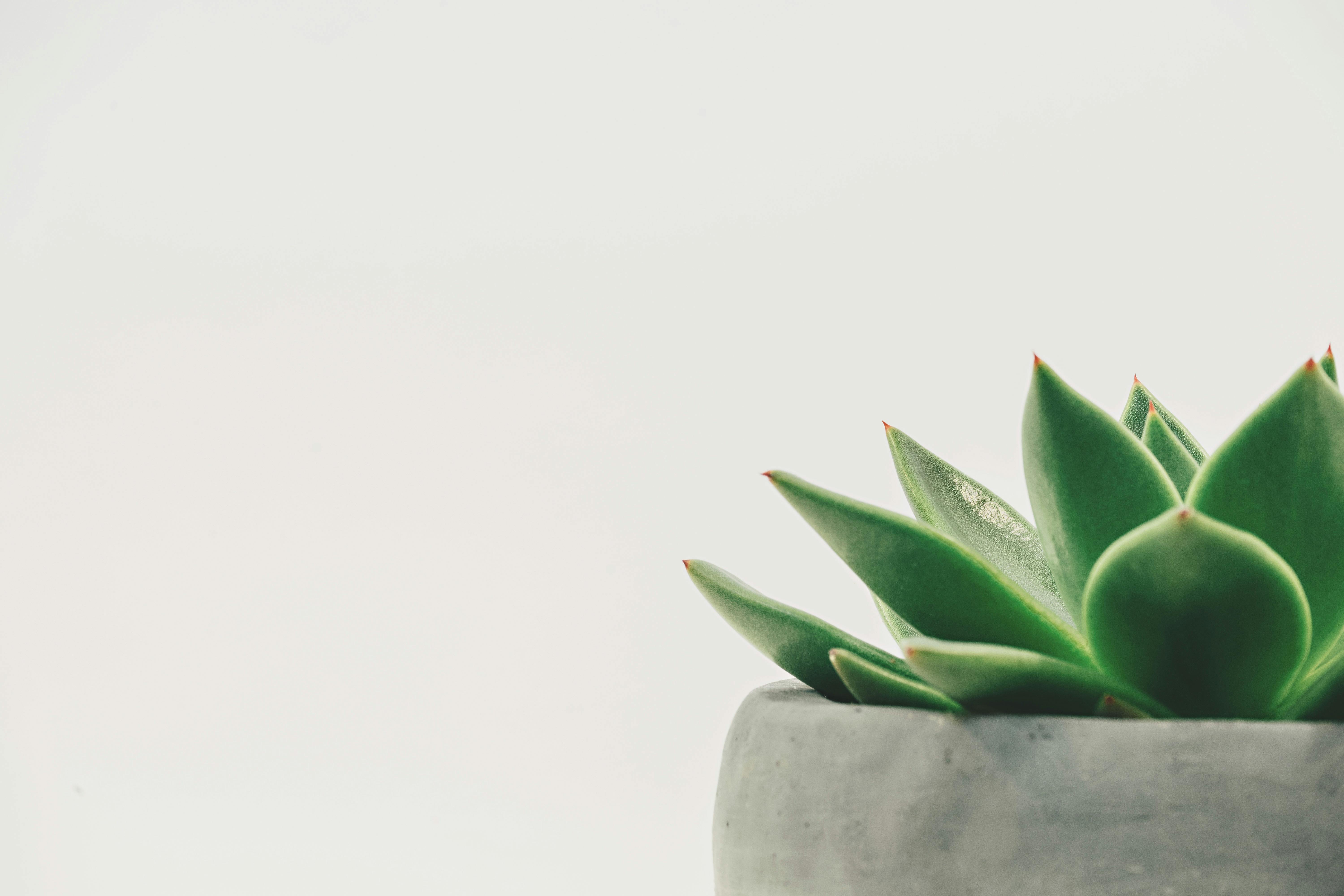 Moderne Therapiepraxis mit gemütlicher Atmosphäre